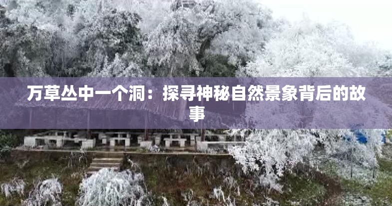 万草丛中一个洞：探寻神秘自然景象背后的故事