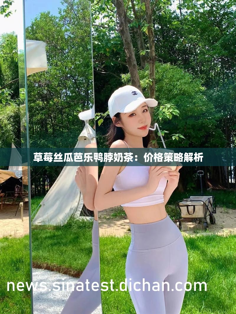 草莓丝瓜芭乐鸭脖奶茶：价格策略解析