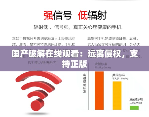 国产破解在线观看：远离侵权，支持正版