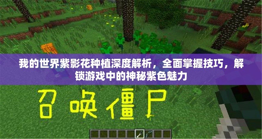 我的世界紫影花种植深度解析，全面掌握技巧，解锁游戏中的神秘紫色魅力
