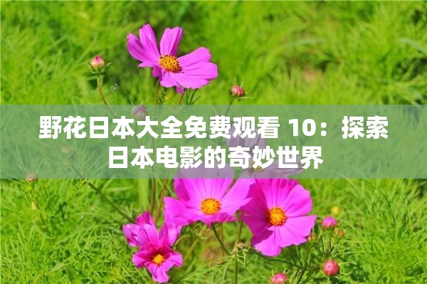 野花日本大全免费观看 10：探索日本电影的奇妙世界