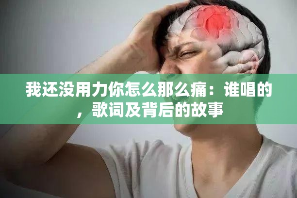 我还没用力你怎么那么痛：谁唱的，歌词及背后的故事