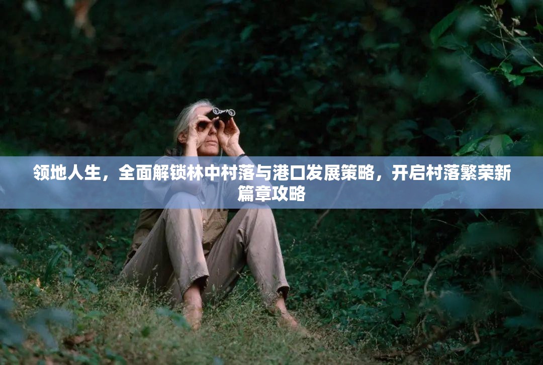 领地人生，全面解锁林中村落与港口发展策略，开启村落繁荣新篇章攻略