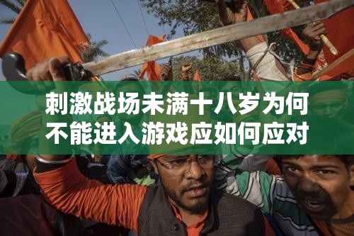 刺激战场未满十八岁为何不能进入游戏应如何应对