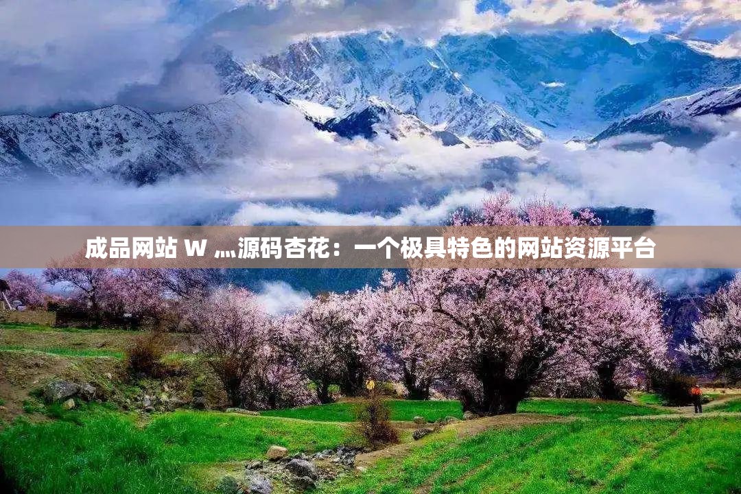成品网站 W 灬源码杏花：一个极具特色的网站资源平台