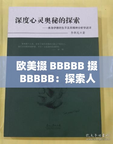 欧美掇 BBBBB 掇 BBBBB：探索人性的深度与复杂性