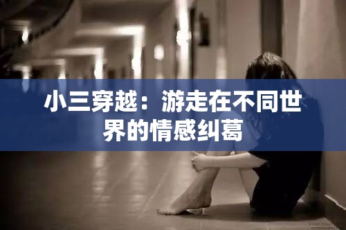 小三穿越：游走在不同世界的情感纠葛