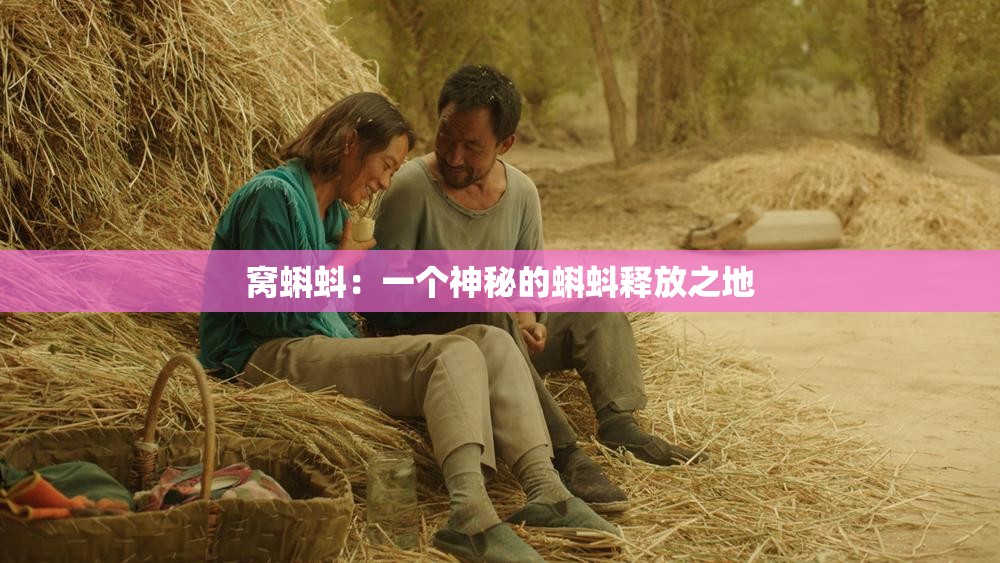 窝蝌蚪：一个神秘的蝌蚪释放之地