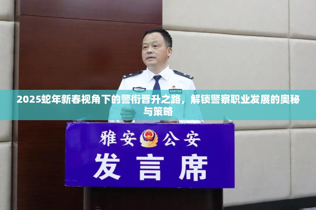 2025蛇年新春视角下的警衔晋升之路，解锁警察职业发展的奥秘与策略