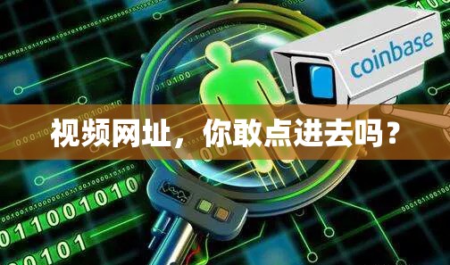 视频网址，你敢点进去吗？