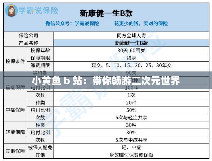 小黄鱼 b 站：带你畅游二次元世界