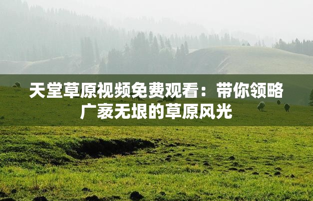 天堂草原视频免费观看：带你领略广袤无垠的草原风光