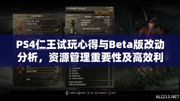 PS4仁王试玩心得与Beta版改动分析，资源管理重要性及高效利用策略探讨