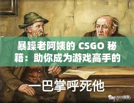 暴躁老阿姨的 CSGO 秘籍：助你成为游戏高手的指南