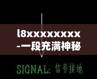 l8xxxxxxxx-一段充满神秘与未知的独特标识