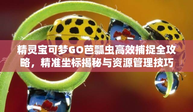 精灵宝可梦GO芭瓢虫高效捕捉全攻略，精准坐标揭秘与资源管理技巧