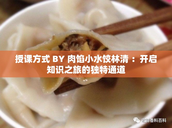 授课方式 BY 肉馅小水饺林清 ：开启知识之旅的独特通道
