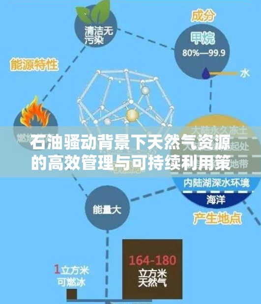 石油骚动背景下天然气资源的高效管理与可持续利用策略