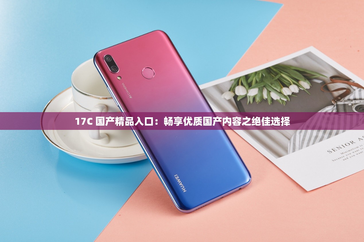 17C 国产精品入口：畅享优质国产内容之绝佳选择