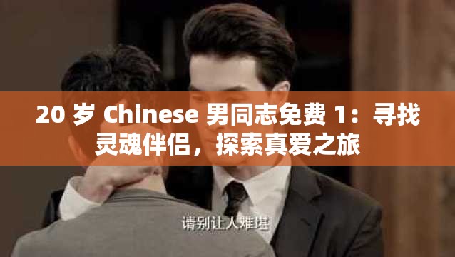 20 岁 Chinese 男同志免费 1：寻找灵魂伴侣，探索真爱之旅