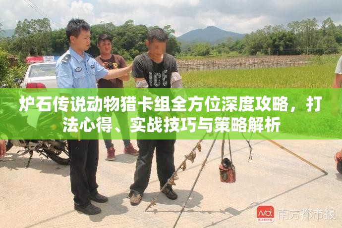 炉石传说动物猎卡组全方位深度攻略，打法心得、实战技巧与策略解析