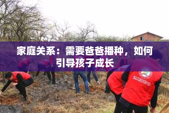 家庭关系：需要爸爸播种，如何引导孩子成长