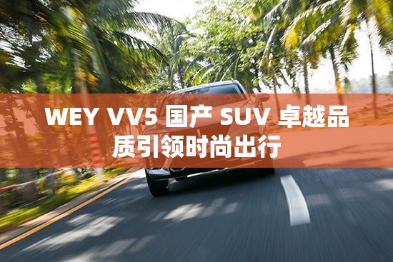 WEY VV5 国产 SUV 卓越品质引领时尚出行