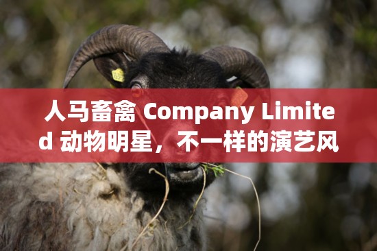 人马畜禽 Company Limited 动物明星，不一样的演艺风采