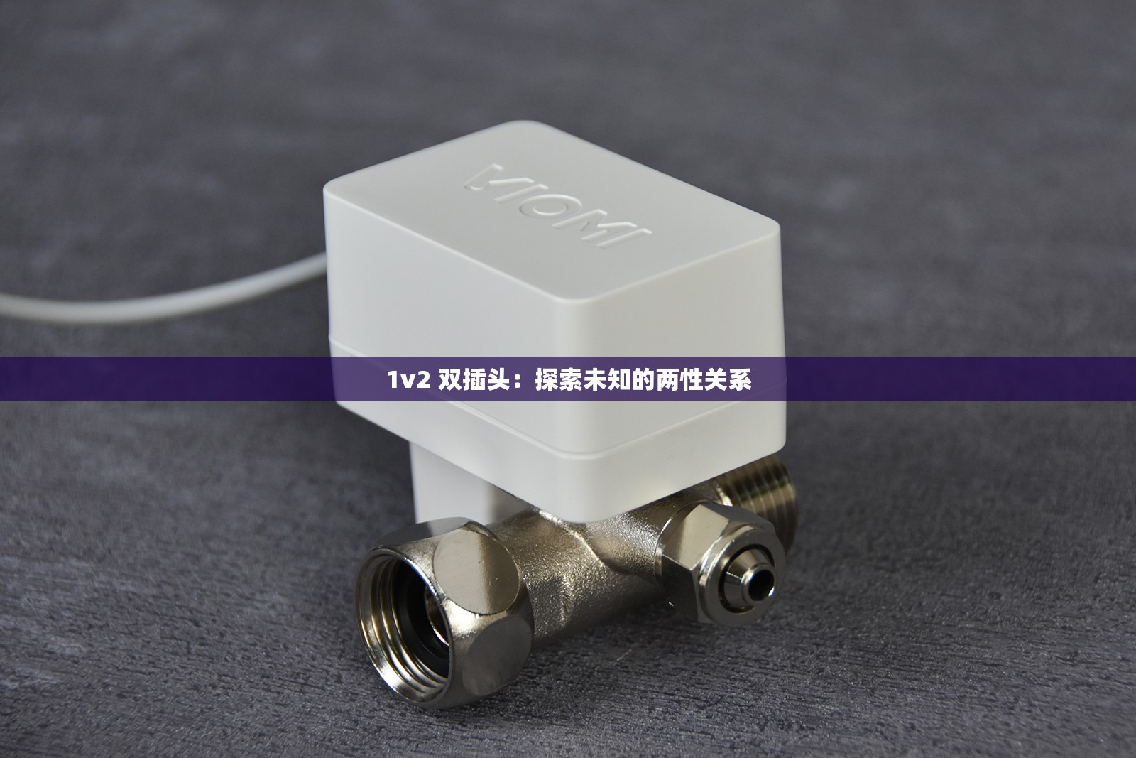 1v2 双插头：探索未知的两性关系