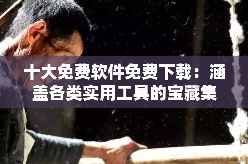 十大免费软件免费下载：涵盖各类实用工具的宝藏集合