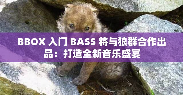 BBOX 入门 BASS 将与狼群合作出品：打造全新音乐盛宴