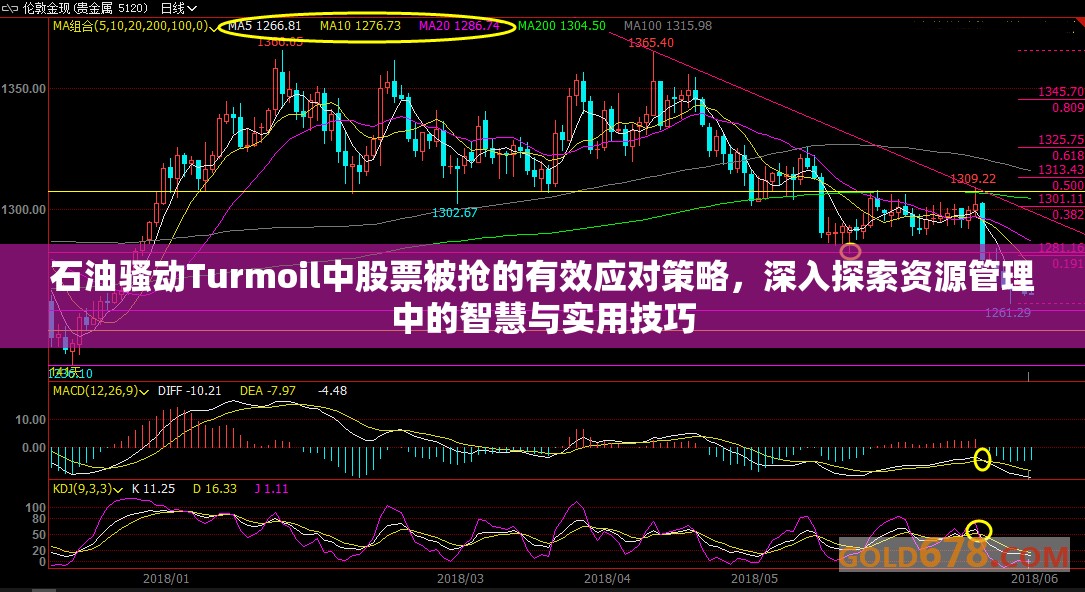 石油骚动Turmoil中股票被抢的有效应对策略，深入探索资源管理中的智慧与实用技巧