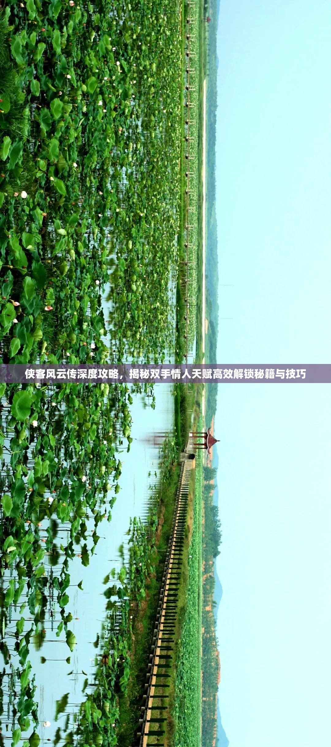 侠客风云传深度攻略，揭秘双手情人天赋高效解锁秘籍与技巧