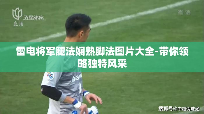 雷电将军腿法娴熟脚法图片大全-带你领略独特风采