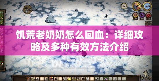 饥荒老奶奶怎么回血：详细攻略及多种有效方法介绍