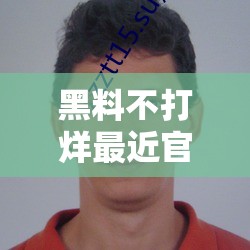 黑料不打烊最近官网：探寻背后的秘密与故事