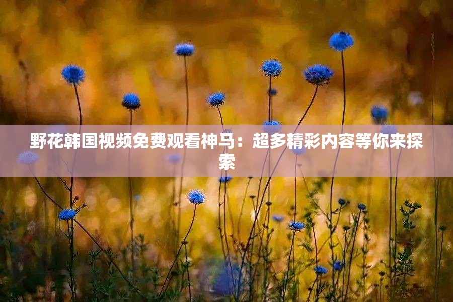 野花韩国视频免费观看神马：超多精彩内容等你来探索