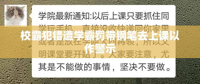 校霸犯错遭学霸罚带钢笔去上课以作警示