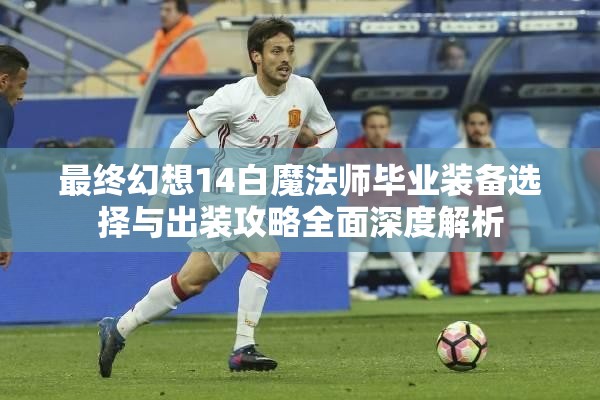 最终幻想14白魔法师毕业装备选择与出装攻略全面深度解析
