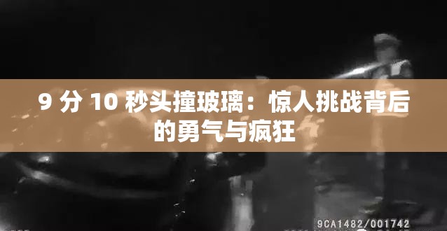 9 分 10 秒头撞玻璃：惊人挑战背后的勇气与疯狂