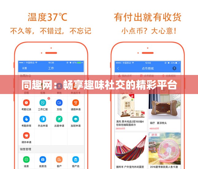 同趣网：畅享趣味社交的精彩平台