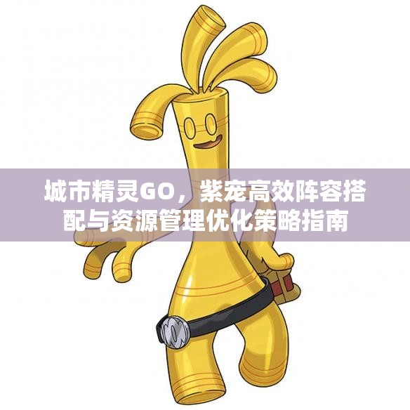 城市精灵GO，紫宠高效阵容搭配与资源管理优化策略指南
