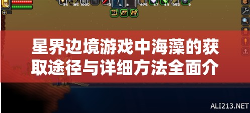 星界边境游戏中海藻的获取途径与详细方法全面介绍