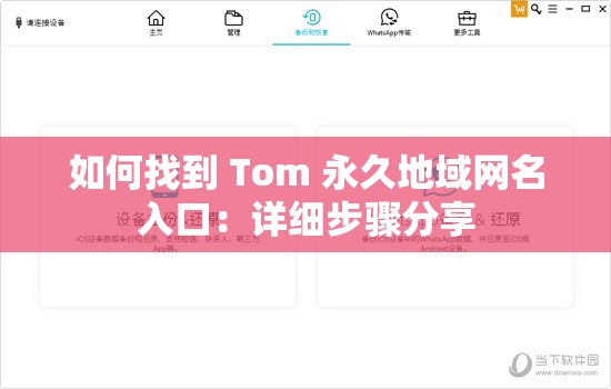 如何找到 Tom 永久地域网名入口：详细步骤分享
