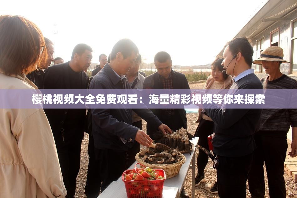 樱桃视频大全免费观看：海量精彩视频等你来探索