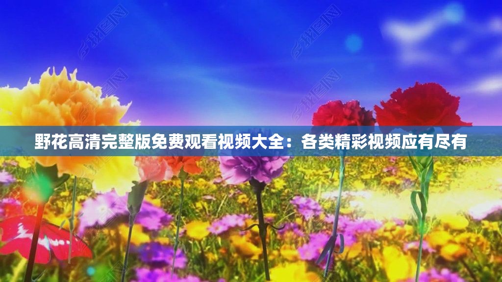野花高清完整版免费观看视频大全：各类精彩视频应有尽有