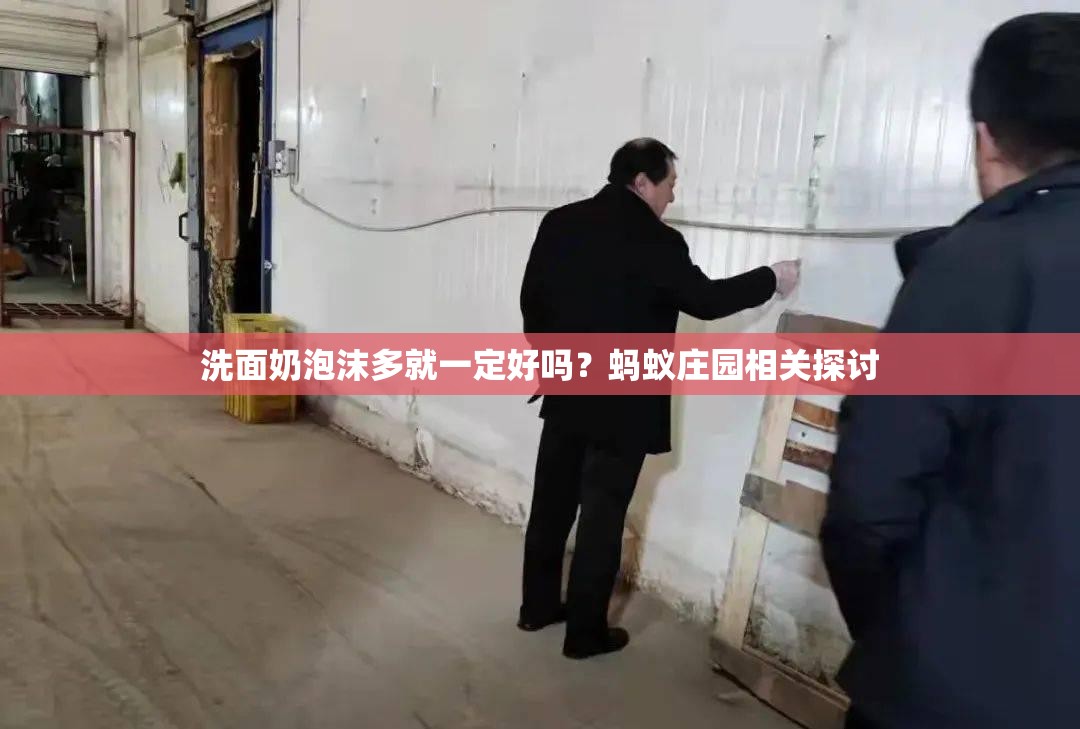 洗面奶泡沫多就一定好吗？蚂蚁庄园相关探讨