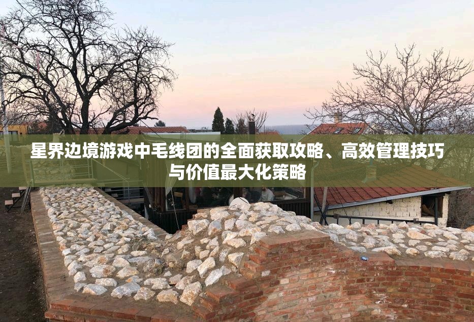 星界边境游戏中毛线团的全面获取攻略、高效管理技巧与价值最大化策略