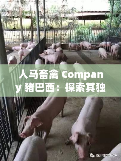 人马畜禽 Company 猪巴西：探索其独特的生态与发展模式