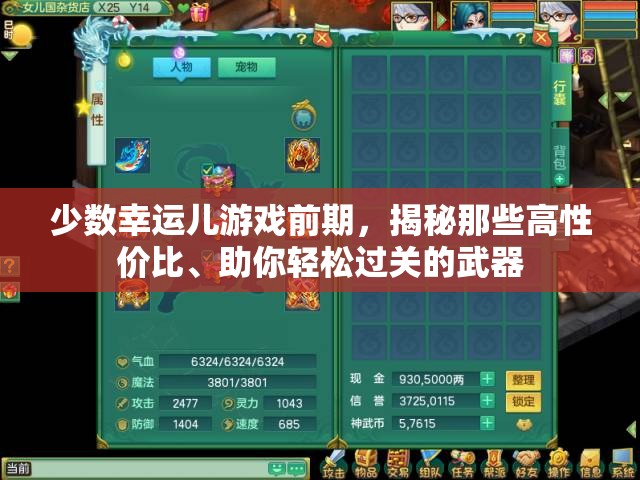 少数幸运儿游戏前期，揭秘那些高性价比、助你轻松过关的武器